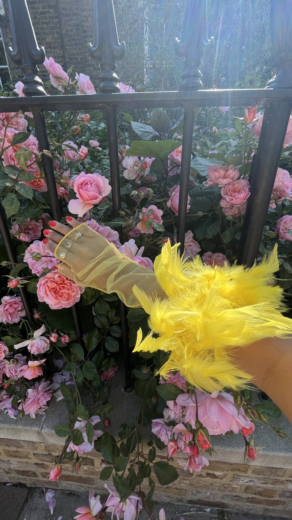 Fée Feather Gloves